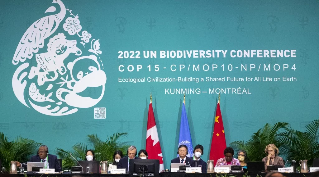 COP15 planeta