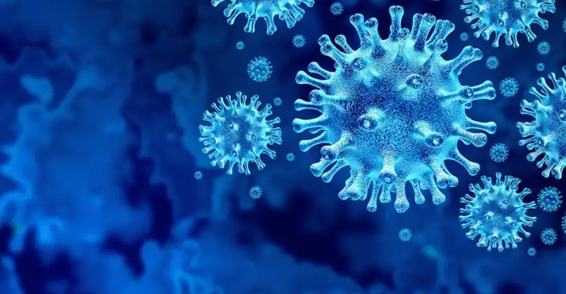 influenza covid virus enfermedades