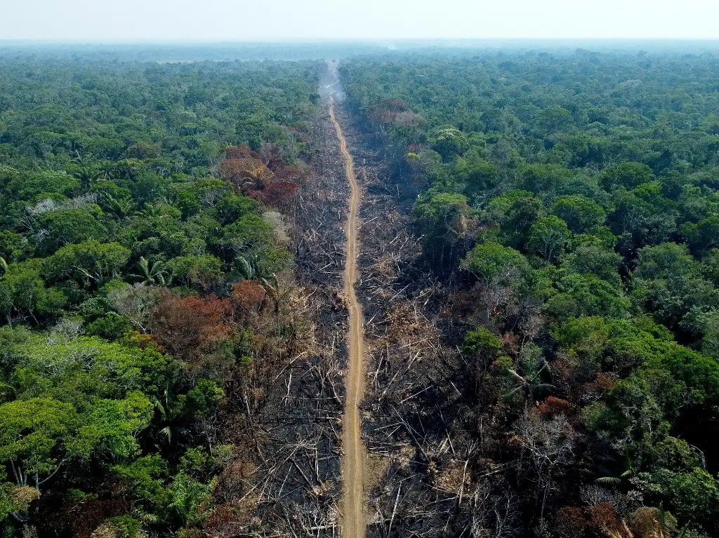 Amazonía Brasil deforestación