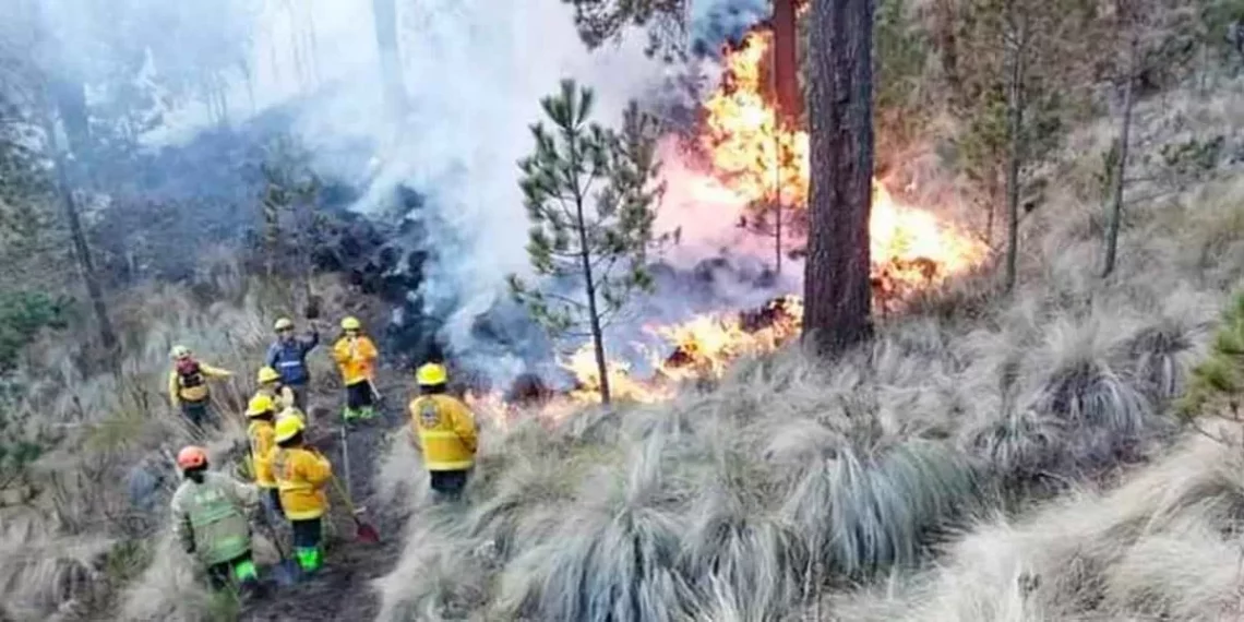 Incendio en faldas del Pico de Orizaba el siniestro más crítico de la temporada