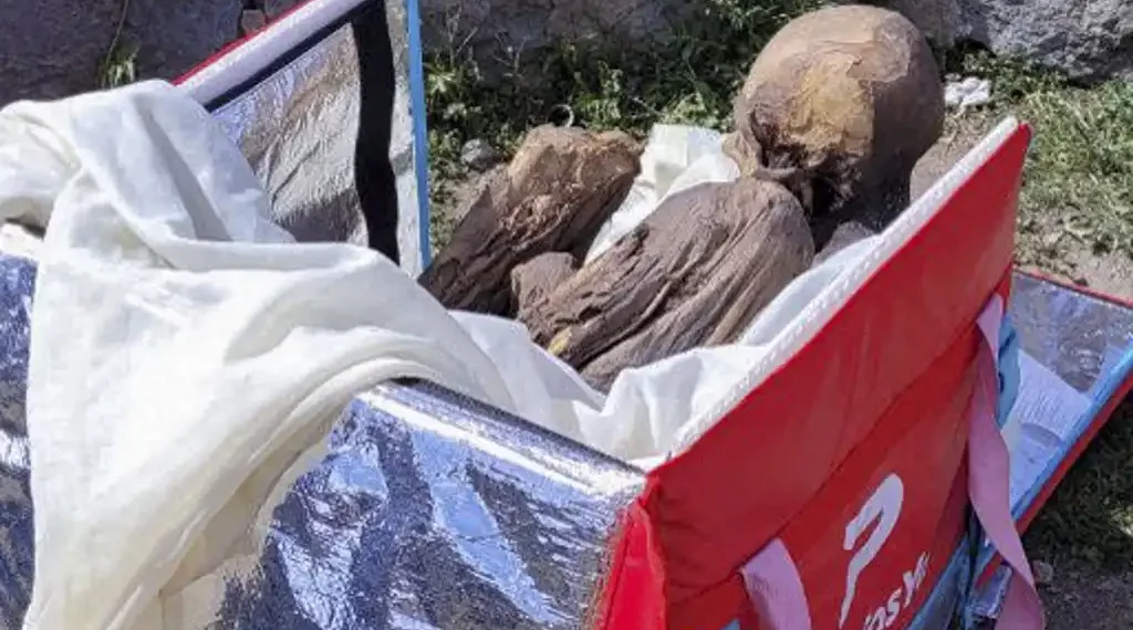 El presunto propietario dijo que la momia había estado en posesión de su familia durante 30 años después de que fracasaran los planes para donarla a un museo. (AFP)