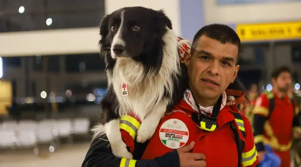 perros de rescate Turquía y Siria