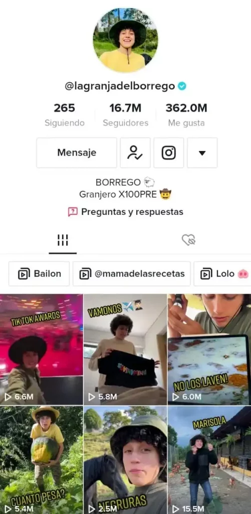 premios Tik Tok