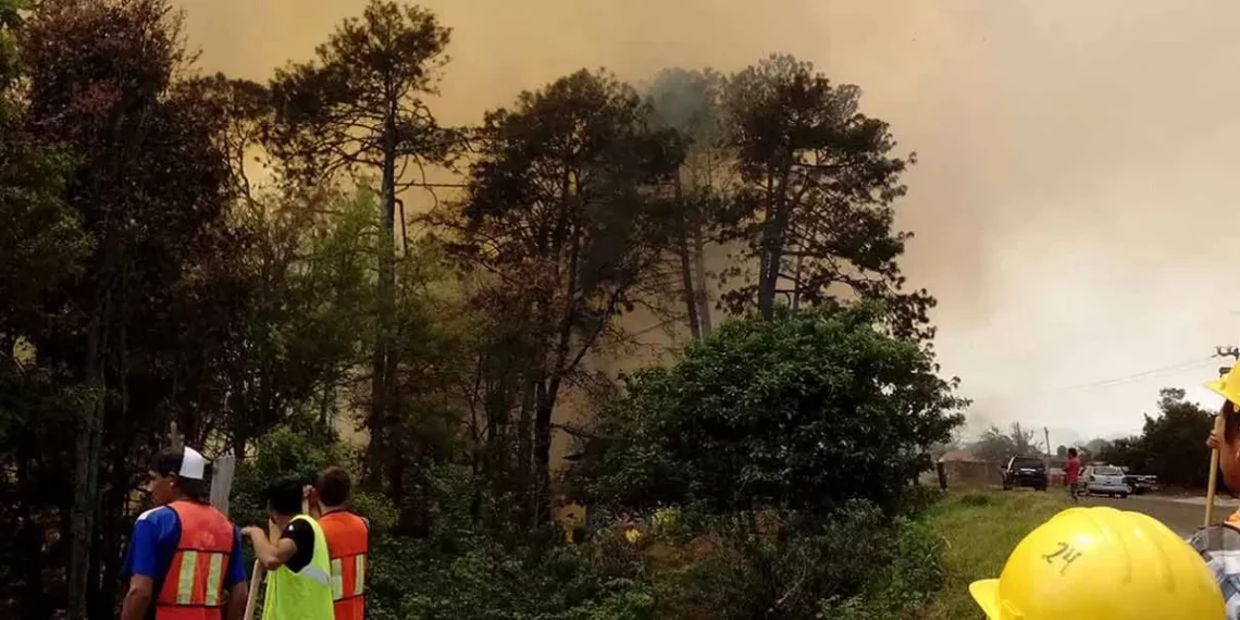 2 mil 679 hectáreas quemadas por 181 incendios en Puebla