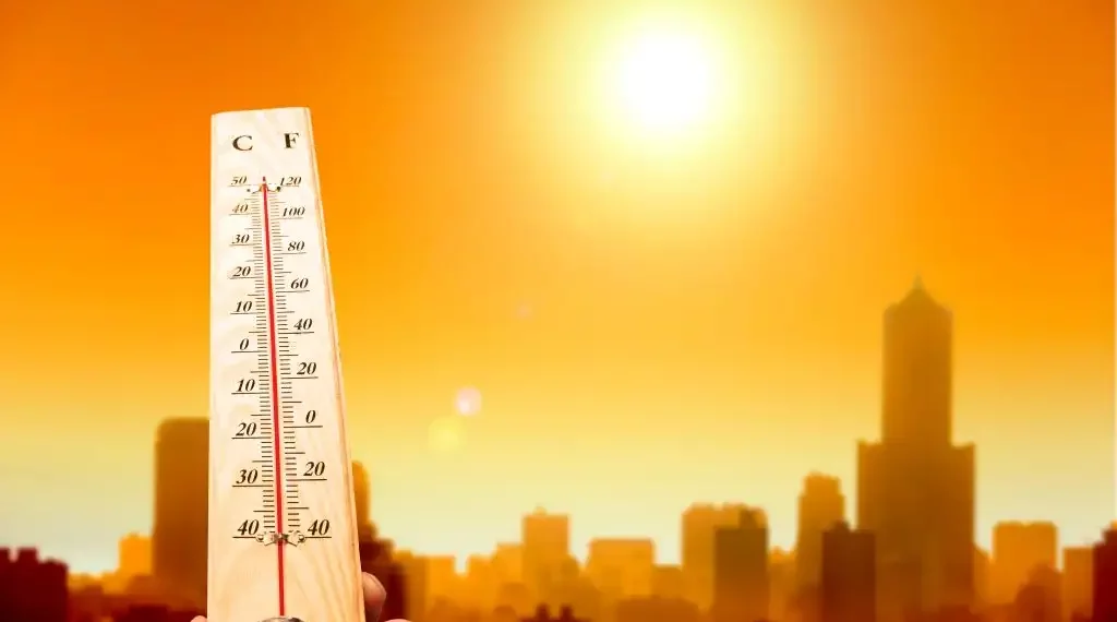 Temperatura mundial 2022