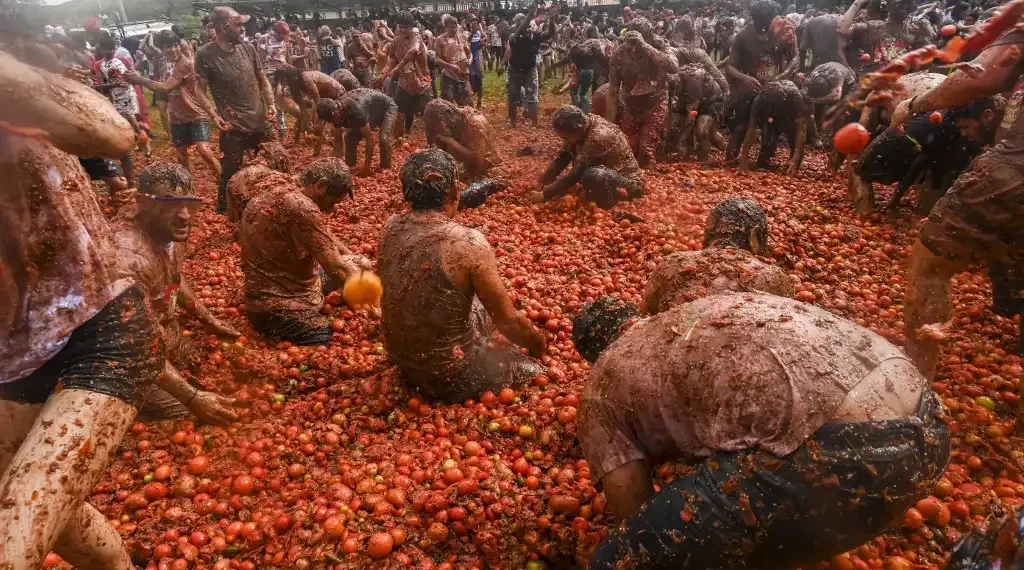 Batalla de tomates Colombia