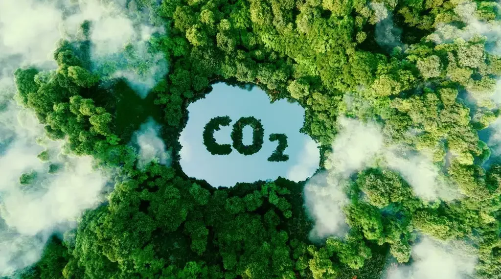 CO2 en la tierra