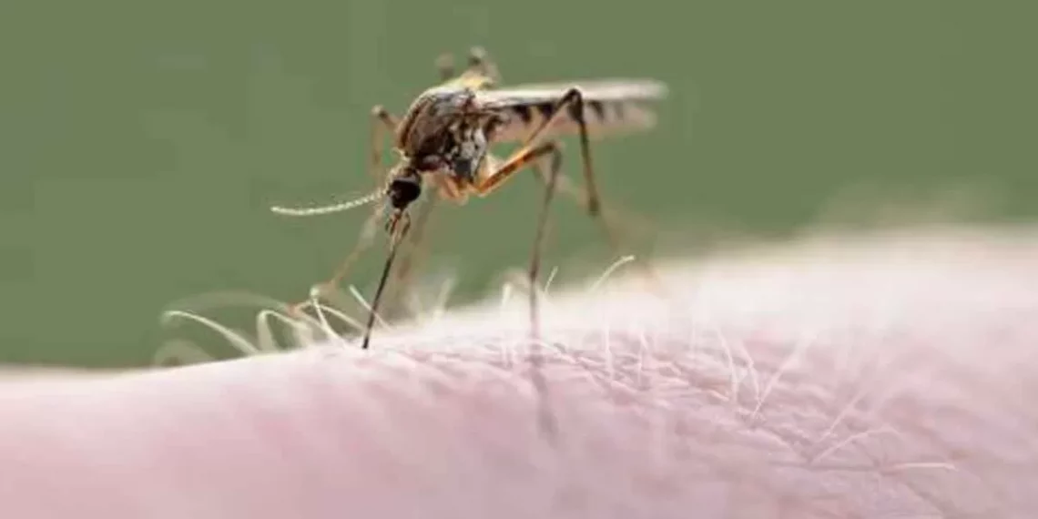 https://diariopuntual.com/estado/2023/07/11/33793/la-ssa-puebla-reporto-344-casos-de-dengue-en-puebla