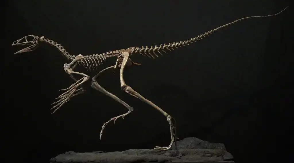 Fósil en 3D