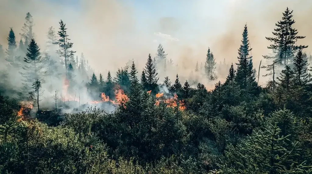 Incendios Canadá emisiones de carbono