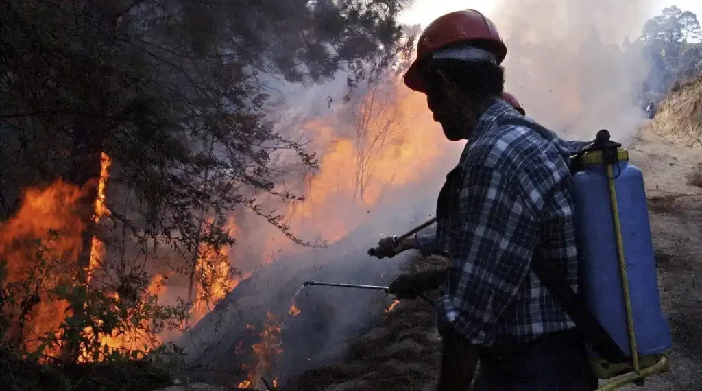Incendios forestales mortíferos