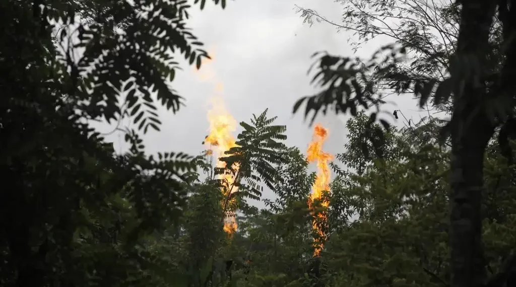 Petroleras indígenas Ecuador