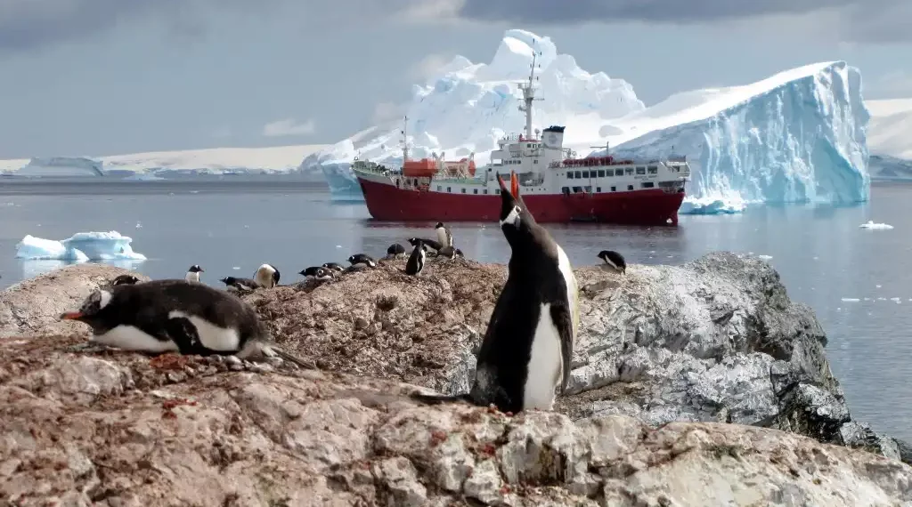 Pingüinos emperador Antártida