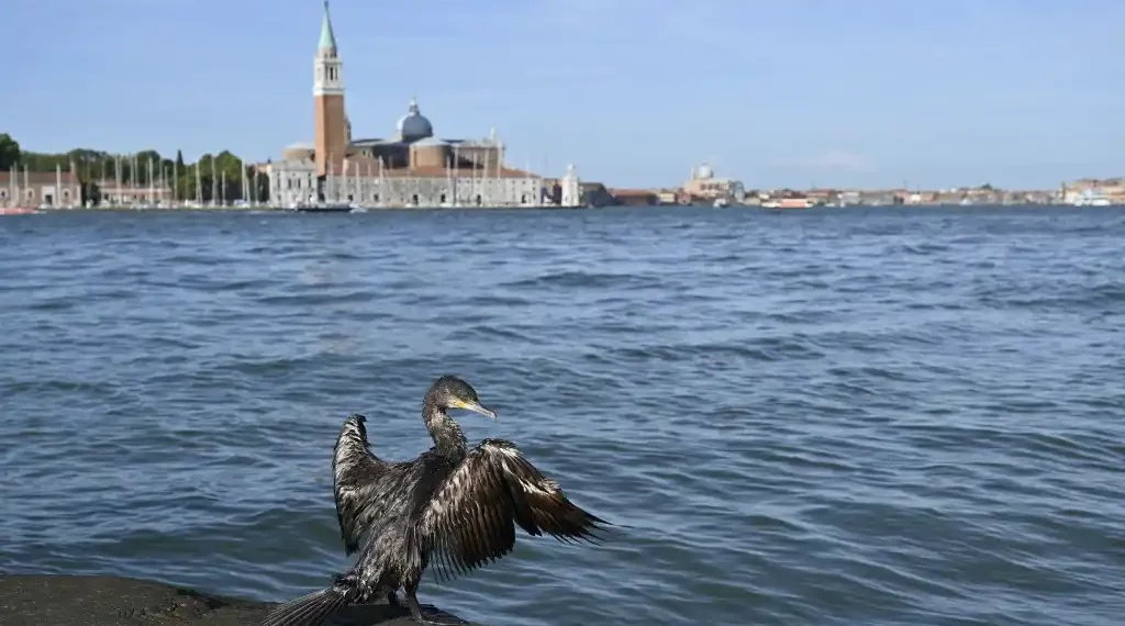 Venecia