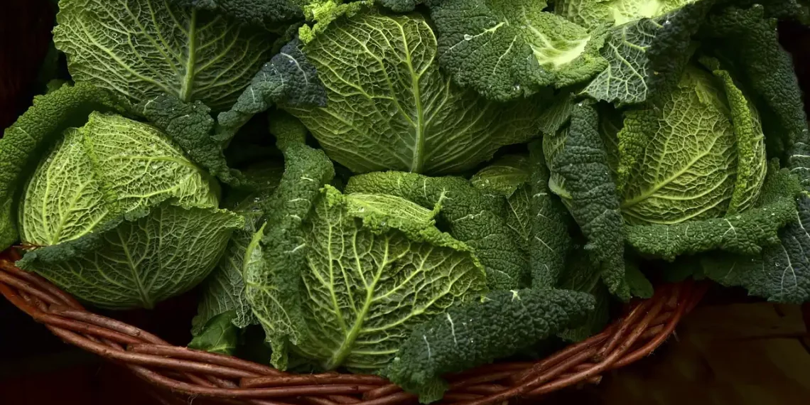 verduras verde infartos