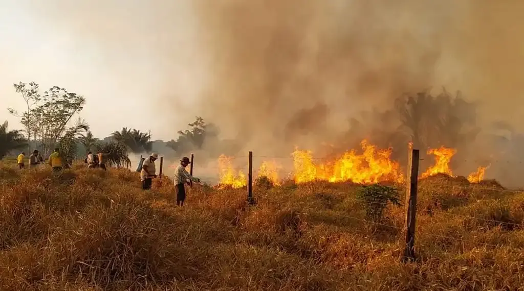 Incendios forestales Bolivia