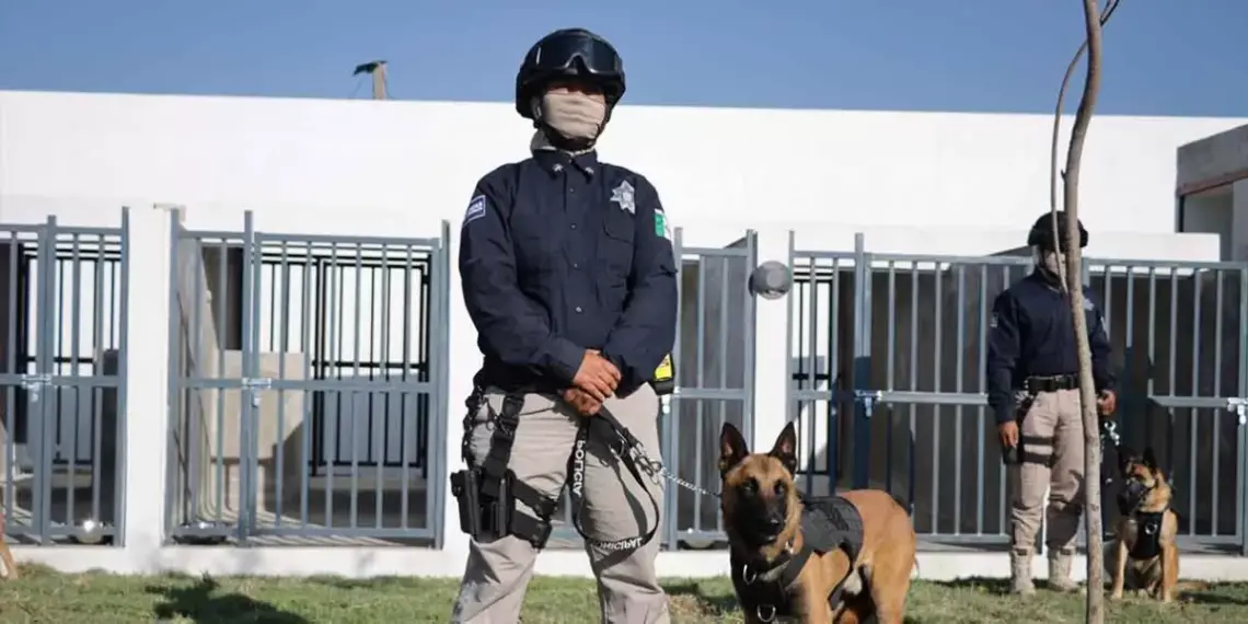 Puebla-Unidad-Canina