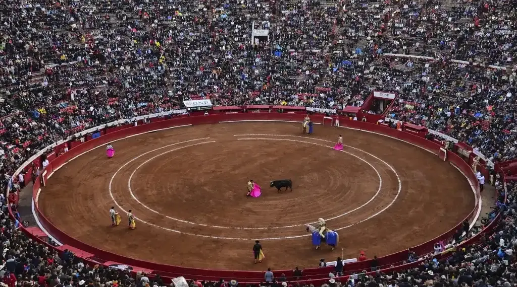 toros México