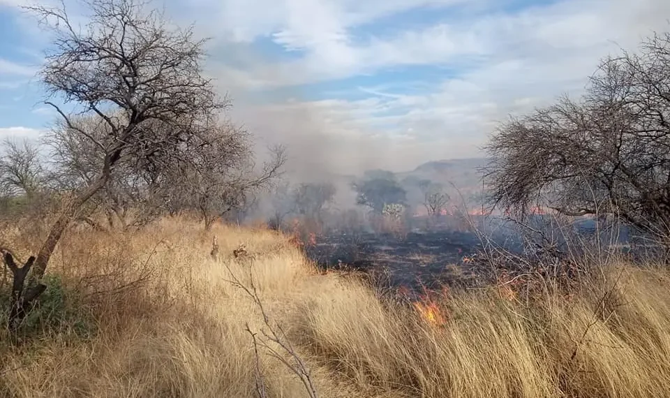 Incendio en Bosque de Cobos.