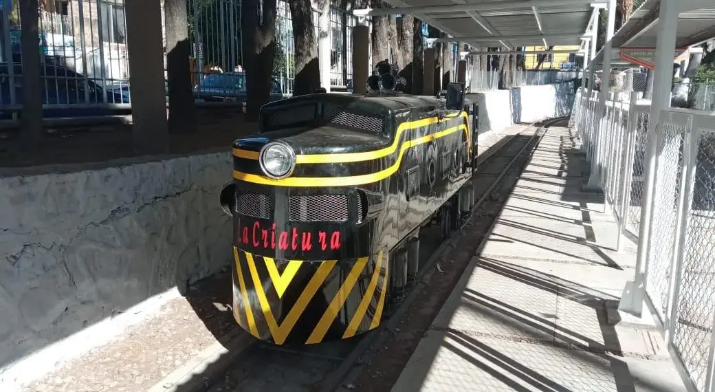 Tren Parque Hidalgo