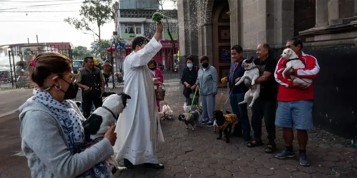 Sacerdotes bendicen a mascotas