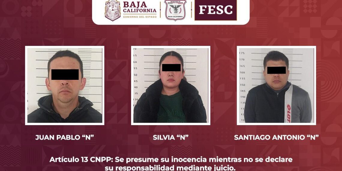 Asegura FESC armas de fuego en Tijuana; cinco personas detenidas