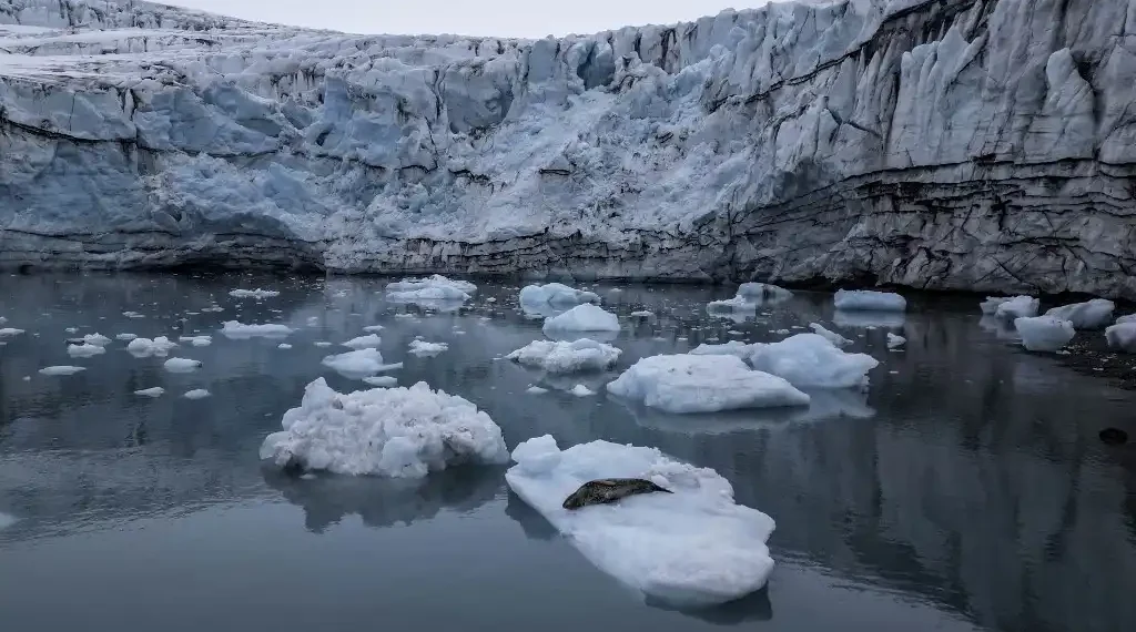 Sonidos Antártida