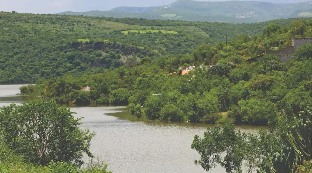 Fondo Mundial para el Medio Ambiente dona 10 millones de dólares a Aguascalientes