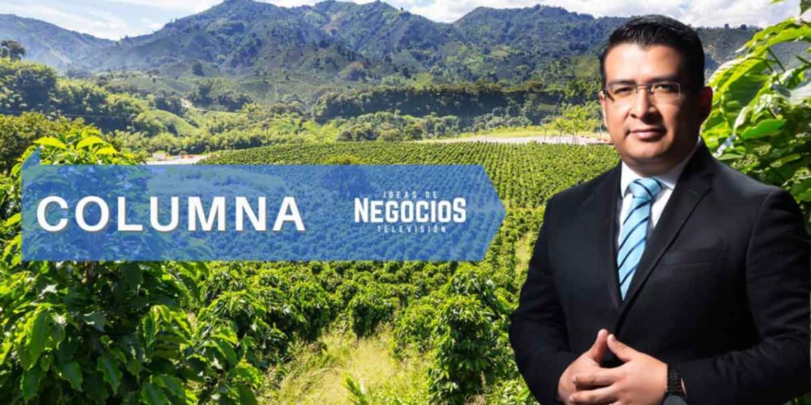 Nestlé, la estrategia para fortalecer la productividad en el campo