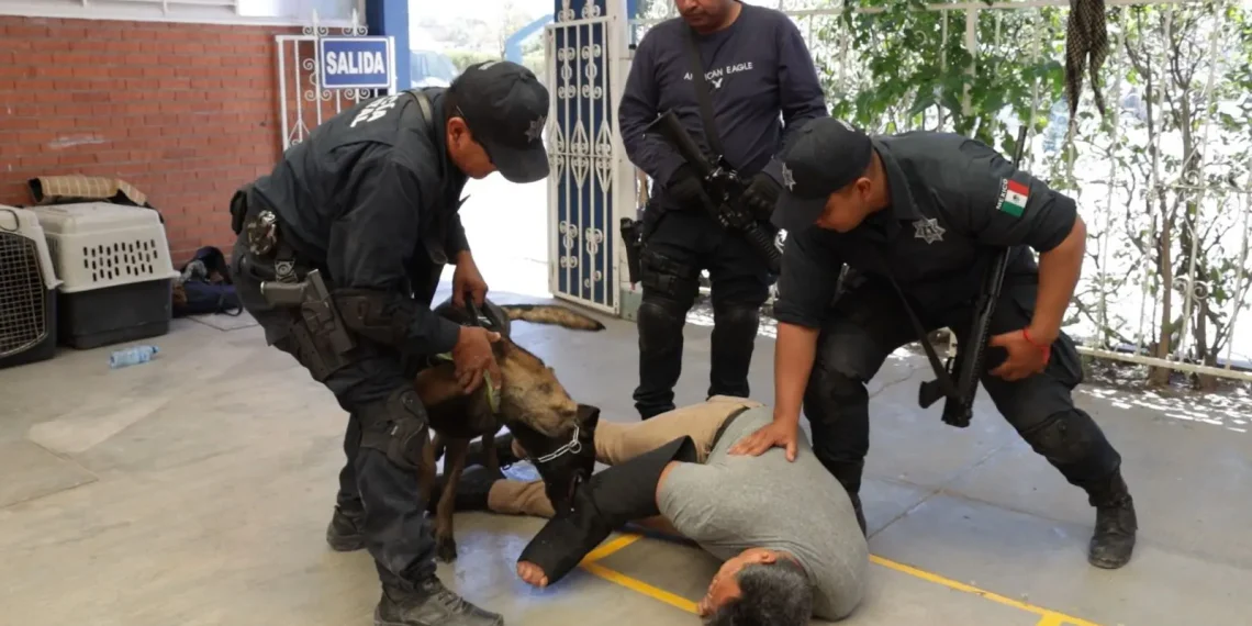 Capacitan a escuadrón canino de la policía estatal