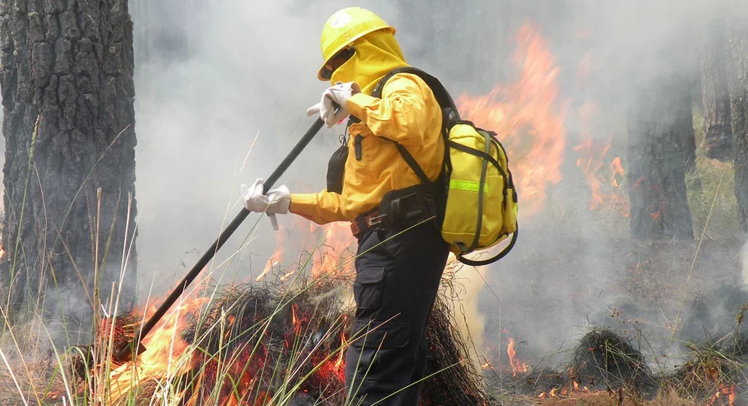 Se prepara Ayuntamiento de la capital para incendios forestales