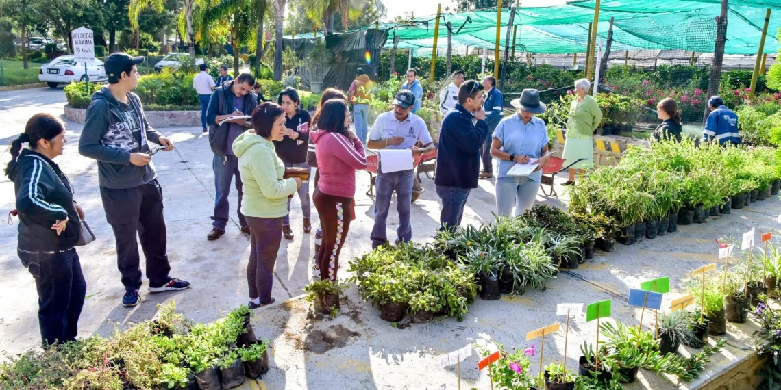 Este jueves, donación de plantas en el Vivero Municipal