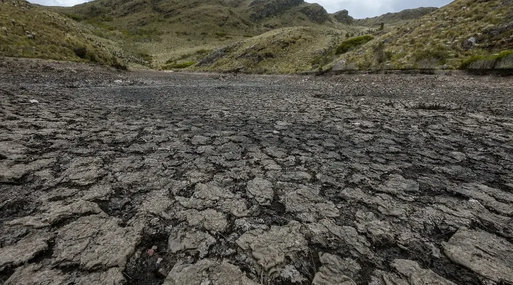 El niño América Latina