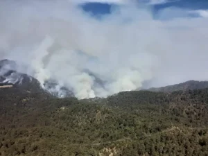 Autoridades, brigadistas y voluntarios trabajan en el combate a los incendios en San Dimas 