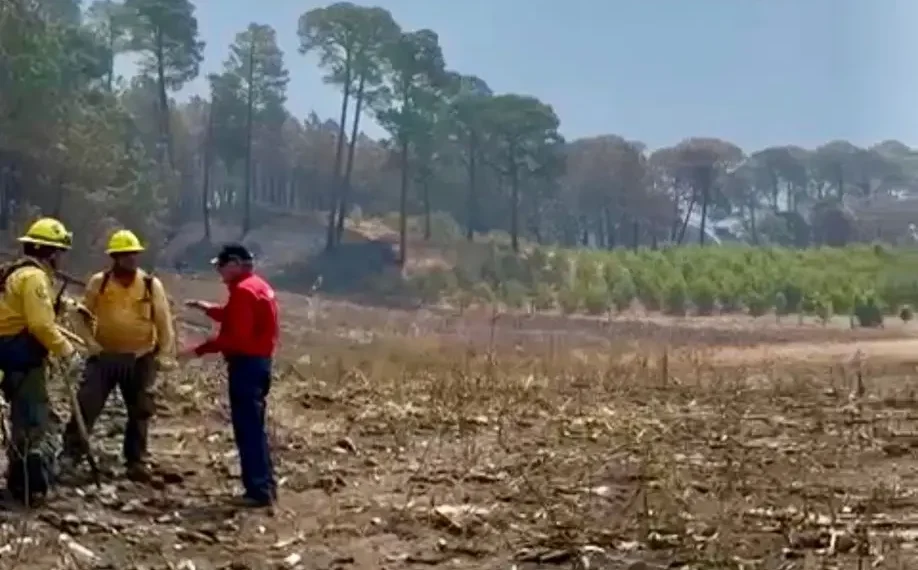 Brigadistas incendios forestales en San Dimas