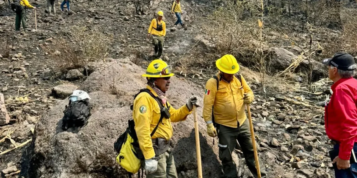 Brigadistas incendios forestales en San Dimas