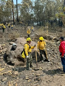 Brigadistas incendios forestales en San Dimas 