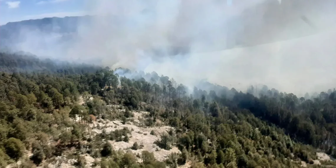 Incendios forestales Durango 2024