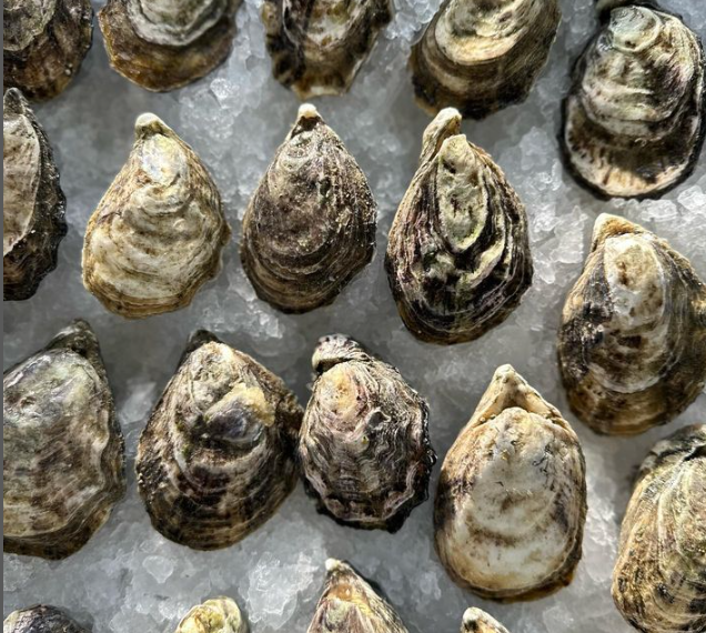 Foto de Restaurante Conchas de Piedra