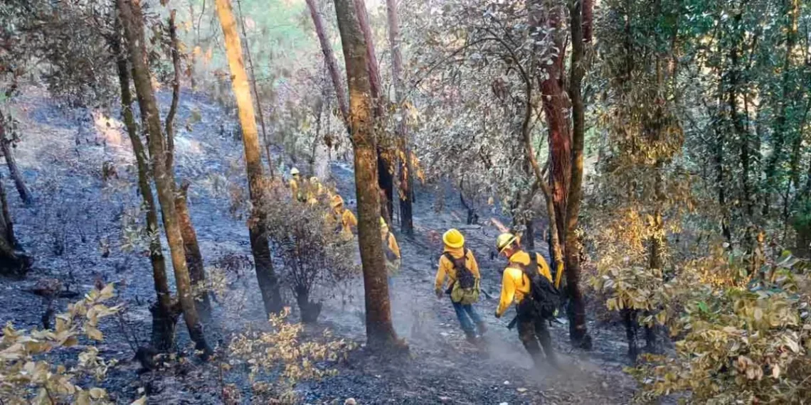 incendios en Puebla