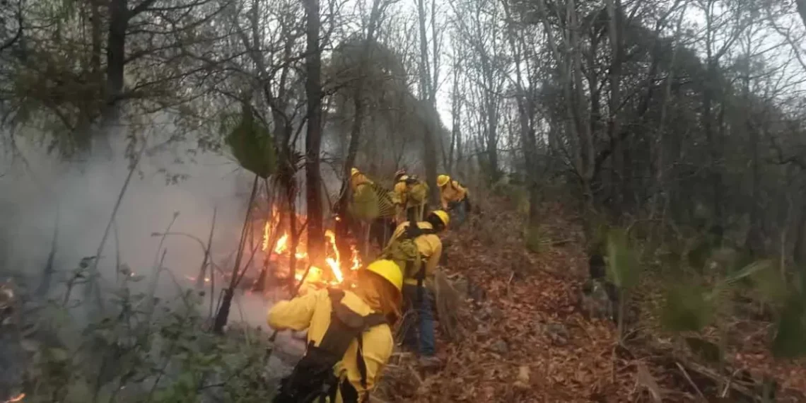 incendios forestales