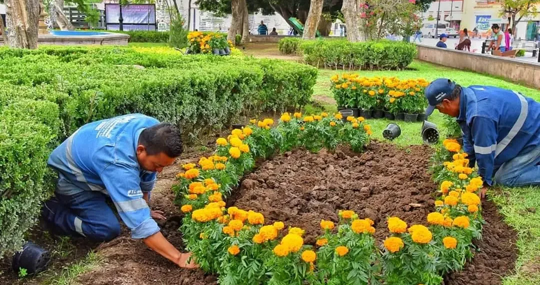 Avanza Ayuntamiento en rehabilitación de parques públicos y áreas verdes