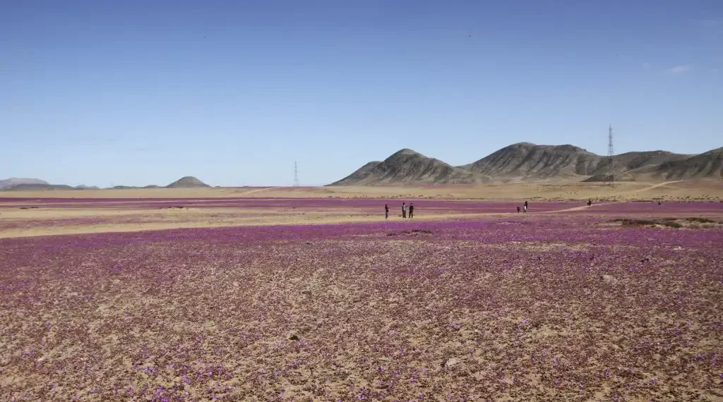 Desierto de Atacama Chile