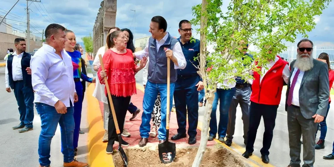 Donación de árboles en Gómez Palacio