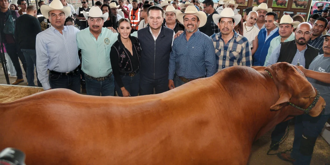 Expo Nacional Brangus Mexicana 2024