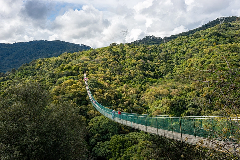 Guadalajara Jalisco