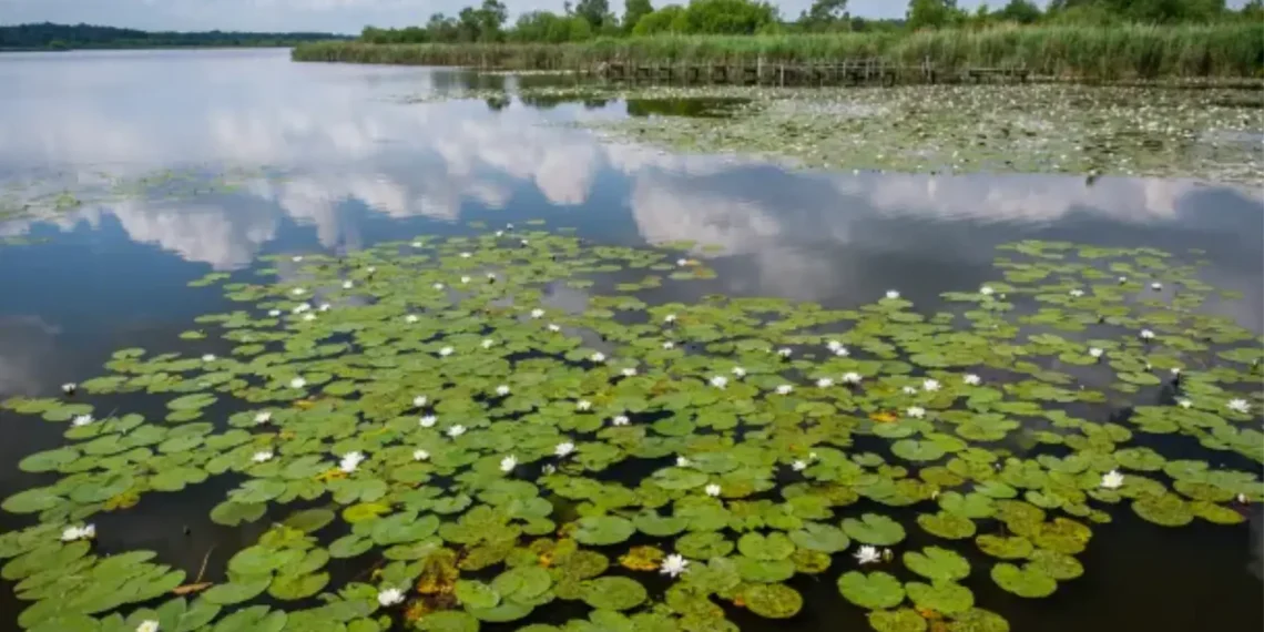 reservas biosfera