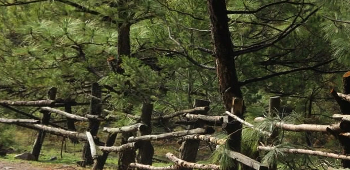 En alerta Jesús María por campamentos del crimen organizado en la Sierra Fría