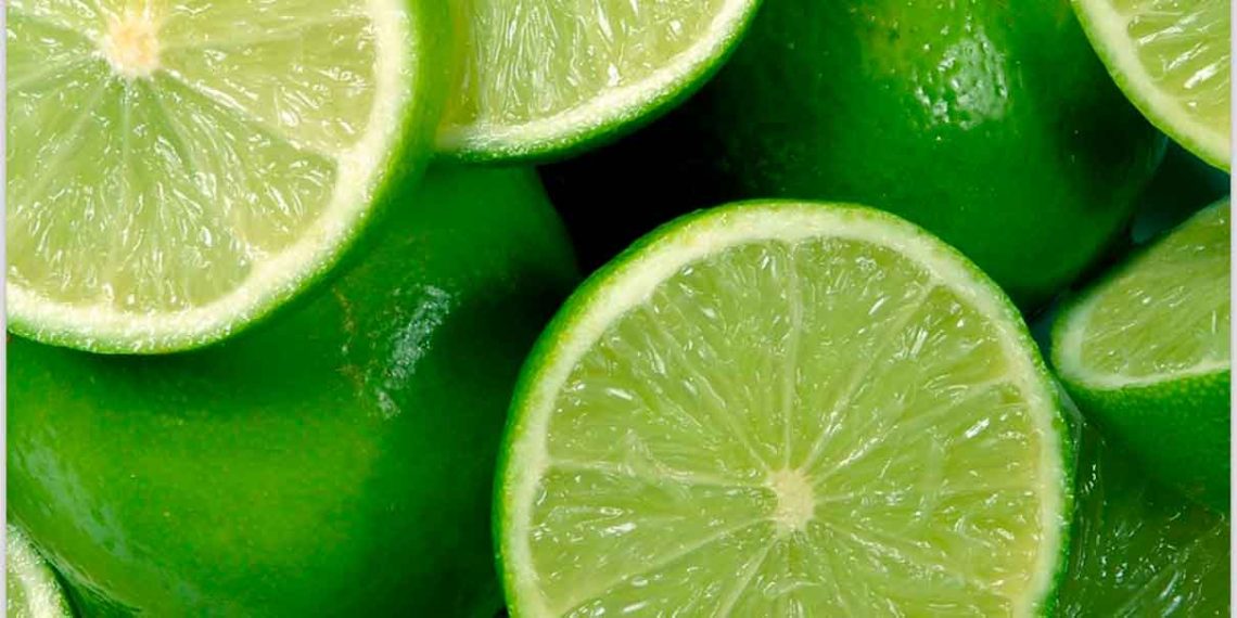 Cómo Citrus Patrimonial está Revolucionando la Inversión Agrícola en México