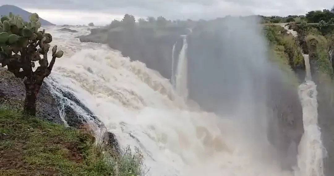 Presa Caboraca